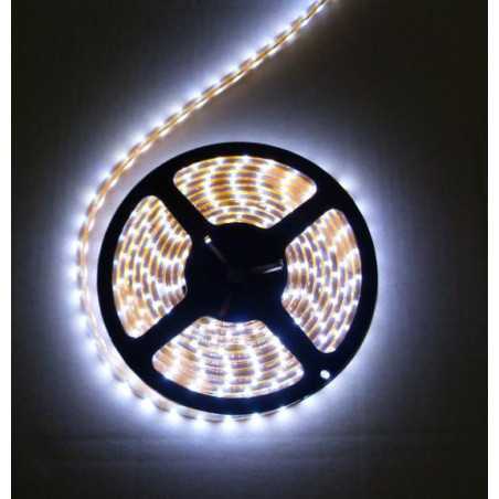 Ruban LED 3528 blanc chaud 120 LED/m transfo inclus