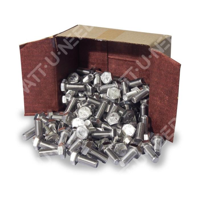Hexagon head screw M8x25 100x