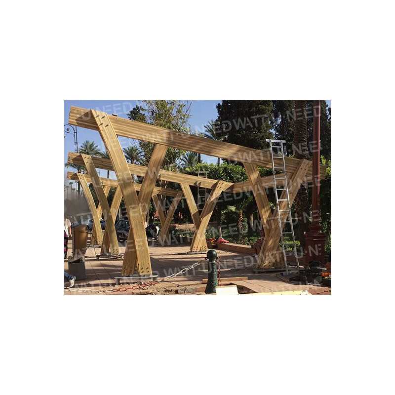 Structure en bois pour 2 voitures