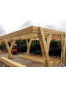 Structure en bois pour 2 voitures