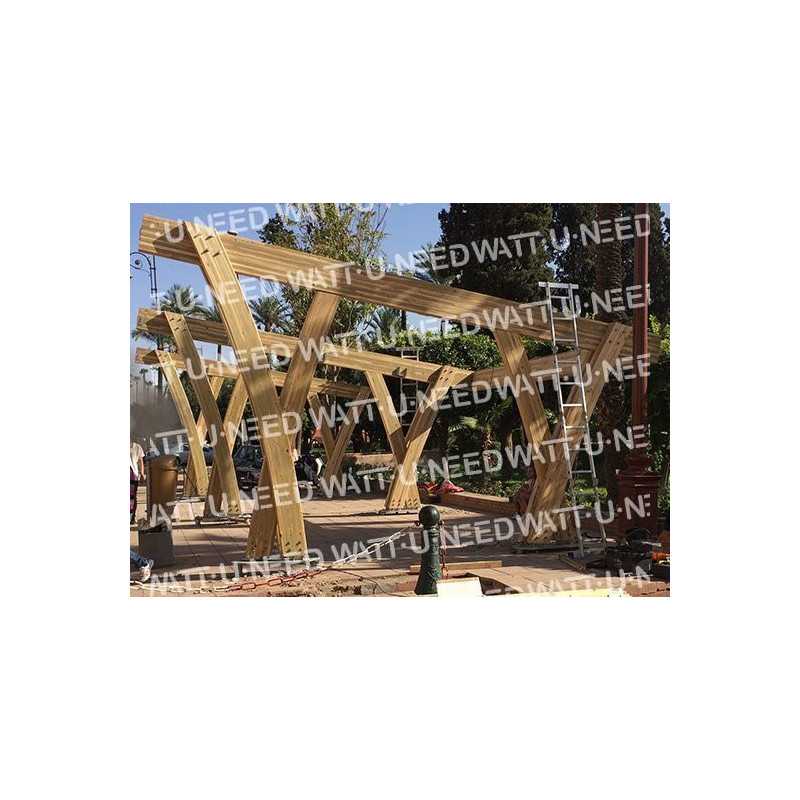 Structure en bois pour 2 voitures