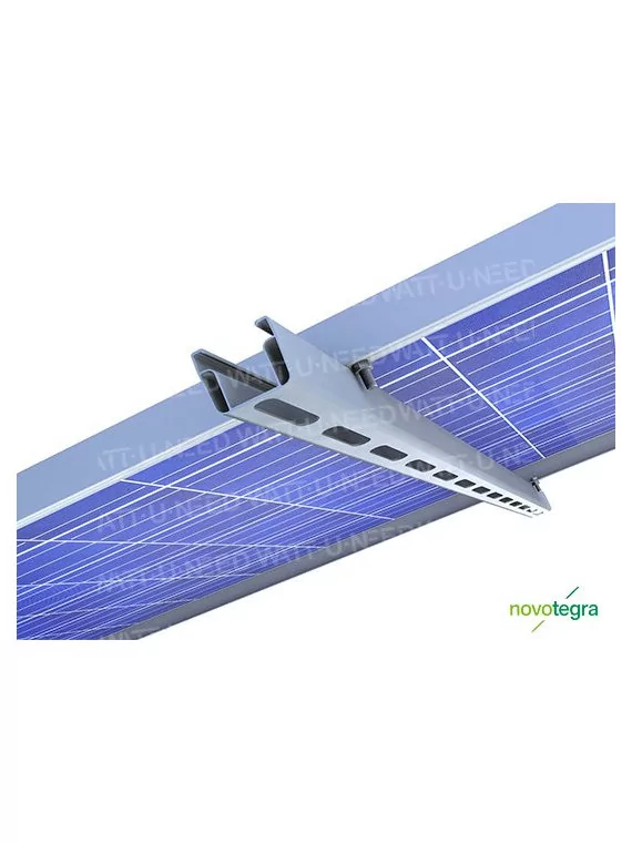 Mounting system for tray roofing