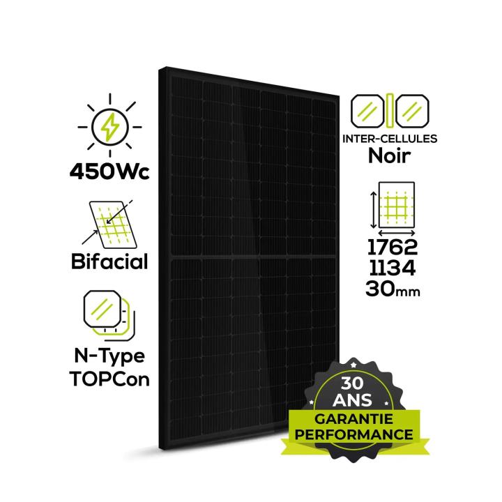 Leapton N-Type 450Wp TOPCon bifacial