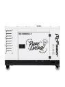 Generador diésel de 16,3 kVA a plena potencia, 230 V/400 V, ITC Power DG16000SE-T