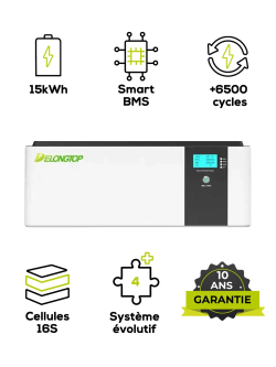 Accu LiFePO4 15,36kWh DeLong 51,2V 300Ah – Kwaliteit A