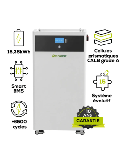 Batterie Lithium DeLong LVM15 - 300 Ah 51,2 V LiFePO4 15,36 kWh