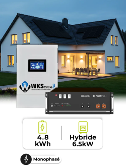 Pack Inversor Mono 6,5 kW – Batería 4,80 kWh