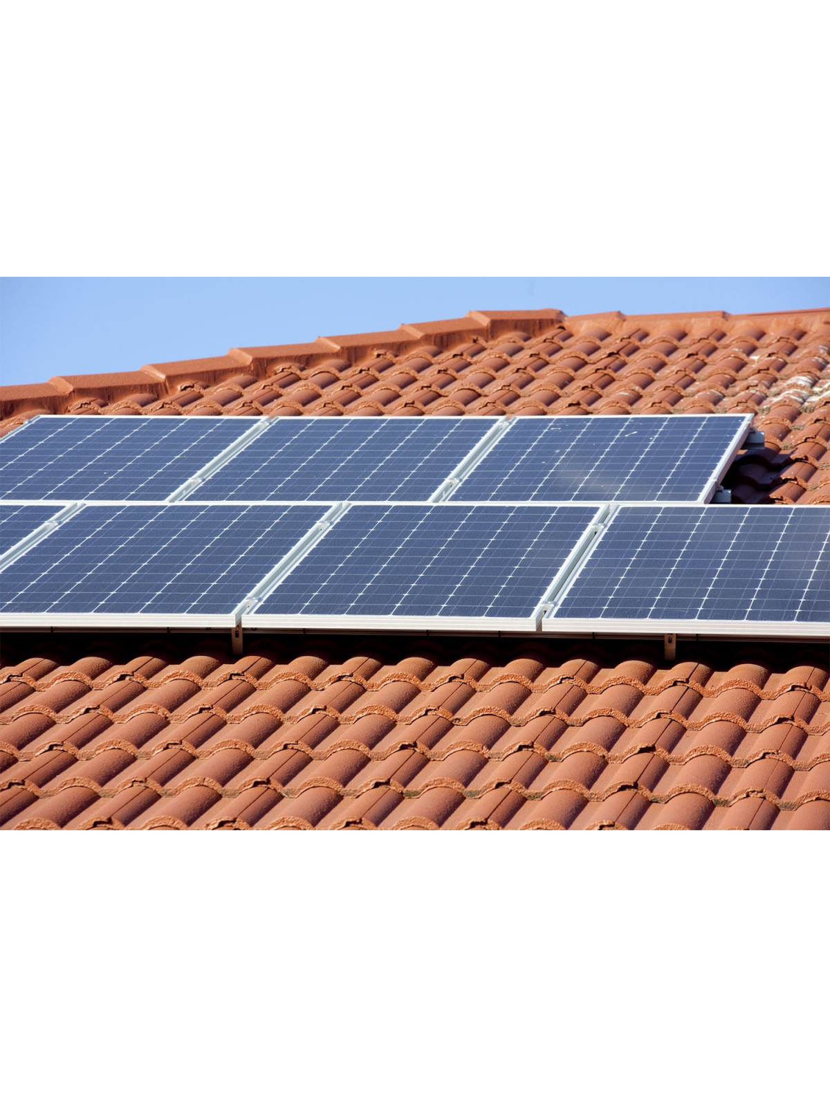 Spécialités Électriques - SRNE Solar régulateur solaire bluetooth MPPT 50  Ampères