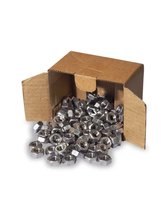 Tuerca hexagonal M10 100 piezas