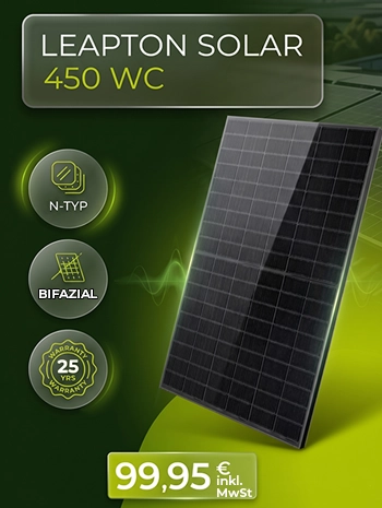 Leapton N-Type 450Wp TOPCon bifaziales Solarmodul