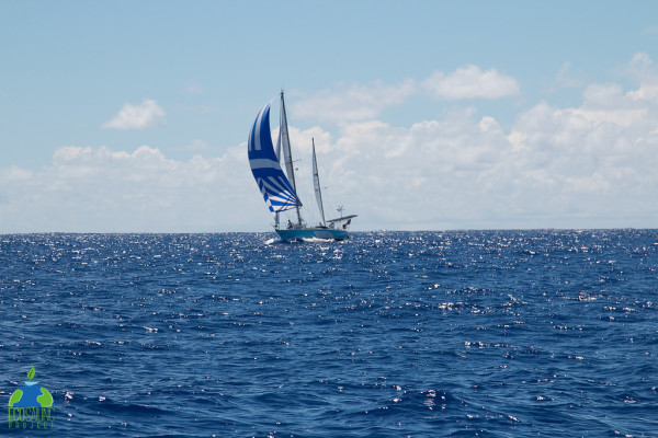 Projet Ecosoling : voilier en pleine mer.