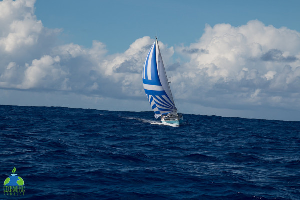 Projet Ecosoling : voilier en pleine mer.